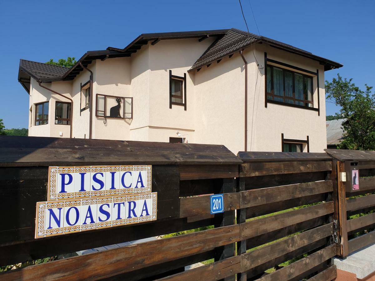 Casa Pisica Noastra Hotel Breáza Kültér fotó